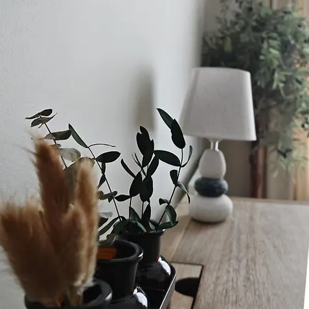 Dr Apartment